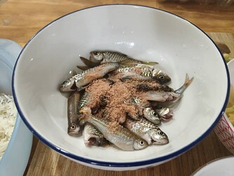 04_salt-the-fish